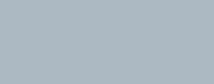 PM Cool Grey 3 