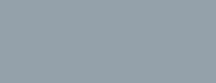 PM Cool Grey 4 