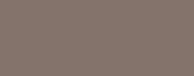 PM Warm Grey 5 