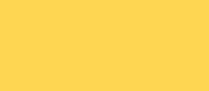 PM Tulip Yellow