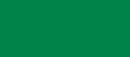 PM Lush Green