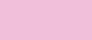 PM Pink Carnation