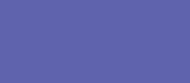 PM Violet