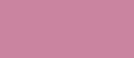 PM Dusky Rose