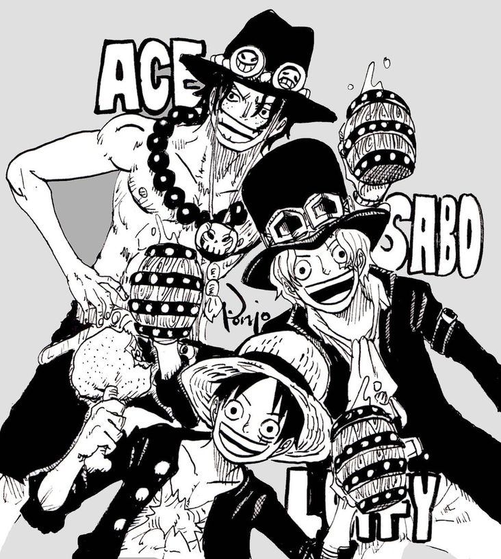 Livre de coloriage - One Piece - fiche produit sur TVHLAND