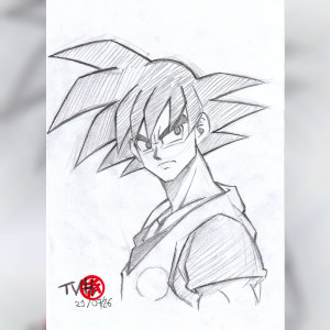 Image du portfolio