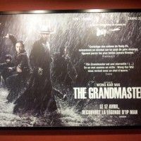 Oui, c'est bien The grandmaster! N'oubliez pas de participer au jeu-concour pour gagner de magnifique sweet! http://www.tvhland.com/articles... [lire la suite]