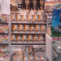 Etal de mangas 35ème volume de Vagabond de Takeshi Inoue