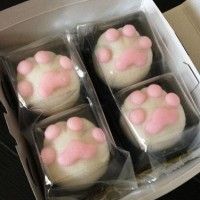 Des pattes de chat petit mignon gourmand à offrir