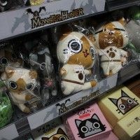 Peluche Monster Hunter!! Que faite ma valise n'est pas très grande... Pensez à venir  au Japon avec une valise à vide...