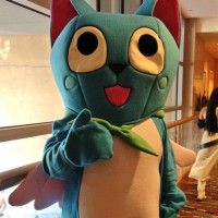 Cosplay Happy Fairy Tail. Les photos de chat marchent toujours sur le web! Allez-vous contredire cette affirmation?