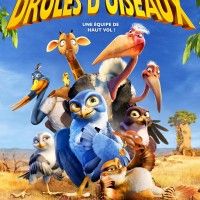 Drôle D'oiseaux sortira le 14 Août

SYNOPSIS :
Au c