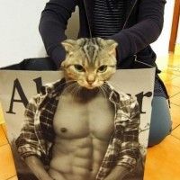 Ca c'est un chat bien virile