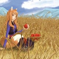 On ne peut plus poster pour le concours Spice and Wolf. Par contre, vous pouvez voter pour vos dessins préférés. Plus vous serez nombreux... [lire la suite]