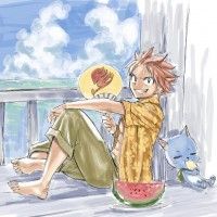 L'été avec Natsu et Happy de Fairy Tail