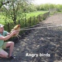 Jouer à Angry Birds en vrai