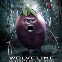 Etes-vous allé voir le film Wolverine?