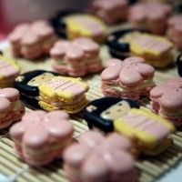 Des macarons en fleurs de cerisiers et kokeshis