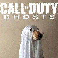 Un chien fantôme qui joue à Call of Duty
