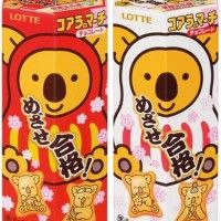 Koala déguisé en Daruma