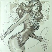 Elle est superbe cette wonder woman par Terry Dodson