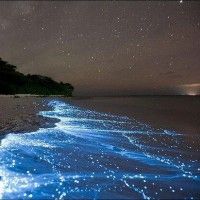 Un joli effet lumineux sur cette plage