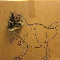 Ce #chat a subit un grosse mutation: Chatzilla!! #Dinosaure #Godzilla