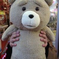 Peluche Ted au Japon