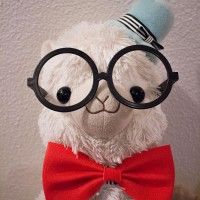 Mr Peabody Lama! #MpeabodyEtSherman @20thCFox_FR @waytobluefr Il me faut d'autres peluches!