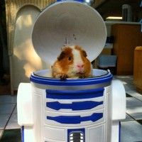 Voilà pourquoi R2D2 ne fait que pousser des cris. #StarWar