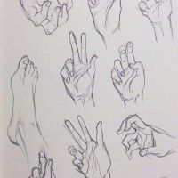 Pour apprendre à dessiner les mains