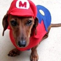 Il est trop trognon! #Mario #Cosplay