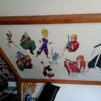 Chambre d'un fan d'anime manga