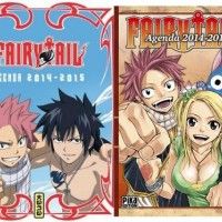 Vous préférez l'agenda Fairy Tail avec Grey ou avec Lucy ?