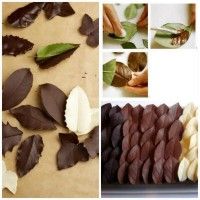 Comment faire des chocolats en forme de feuilles