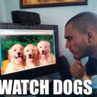 Watch Dogs au sens littéral