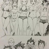 Les filles DBZ en maillot de bain