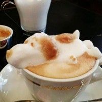 café #Snoopy #Gastronomie