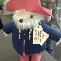 Canal+ nous a présenté hier plus images sur l'ours #Paddington qui sortira en décembre.