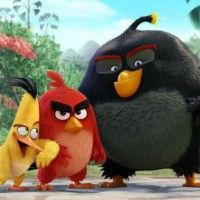 Pourquoi Sony va faire un film Angry Bird? C'est un peu tard... La mode est déjà passé. Et vous qu'en pensez vous?
