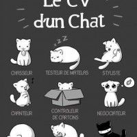 Le CV de votre chat!