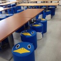 Des fans de pingouins à l'école