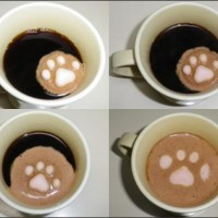 Mousse lyophilisé pour avoir avoir un café miaou!