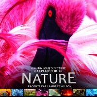 Des flammands roses dans le film NATURE