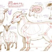 Les dessinateurs en Asie se préparent à faire un dessin pour le nouvel an. 2015 sera l'année de la chèvre mouton.