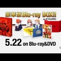 Sortie du blu-ray et DVD de 009 Re:Cyborg le 22 mai