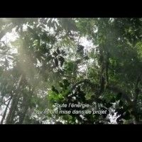 #Nature #Featurette Plongeon en forêt VOST