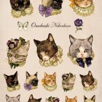 Des chats en collerettes