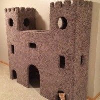 Les #Chats ont vraiment une vie de château. #Insolite