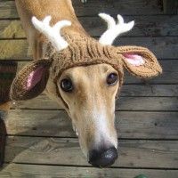 Sympa ce bonnet mais il ne faudrait pas le promener dans la forêt. je  connais quelques chasseurs qui pourraient le prendre pour cible.